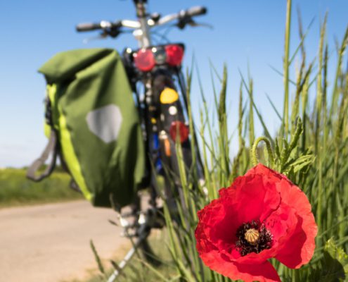 to-go-biking-5178398